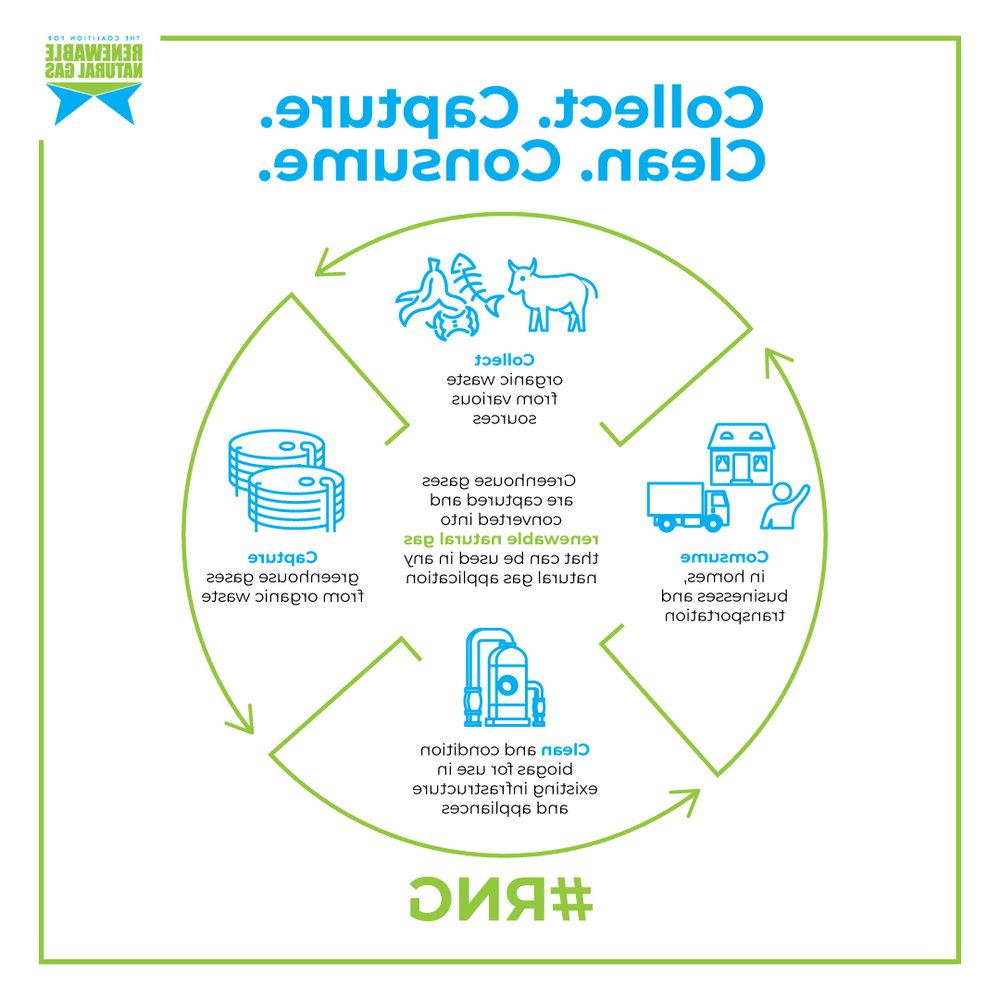 4 + c + + RNG + infographic_090721.jpg